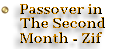 Passover in the Second Month