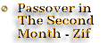 Passover In The Second Month